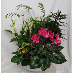 Composition intérieure...