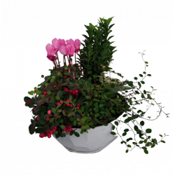 Composition extérieure...