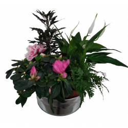 Composition intérieur...