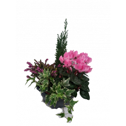 Composition extérieure 23...