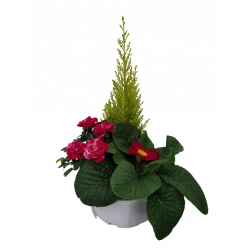 Composition extérieure...