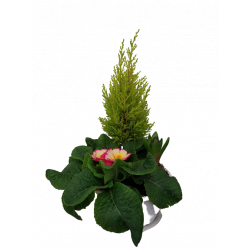 Composition extérieure...