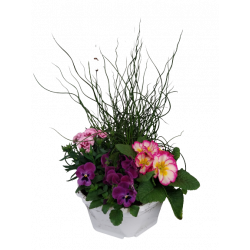 Composition extérieure 23...