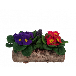 Composition extérieure...