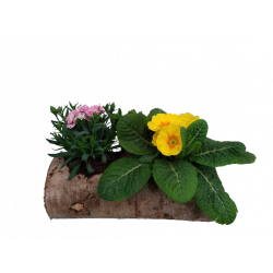 Composition extérieure...