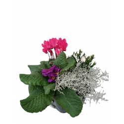 Composition extérieure 23...