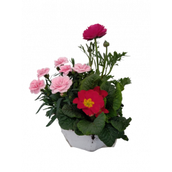 Composition extérieure...