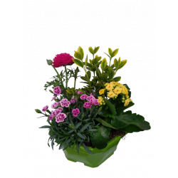 Composition extérieure 23...