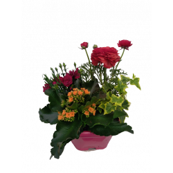 Composition extérieure 23...