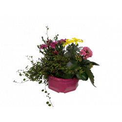 Composition extérieure 23...