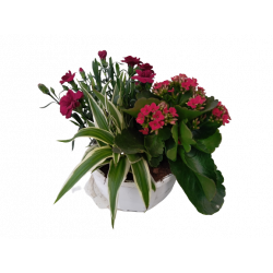 Composition extérieure...