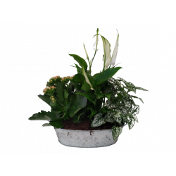 Composition intérieure...