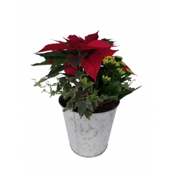 Composition intérieure...