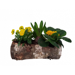 Composition extérieure...