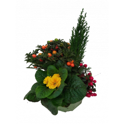 Composition extérieure 23...