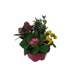 Composition extérieure 23...