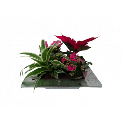 Composition intérieure...