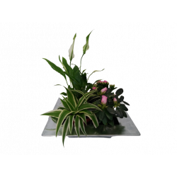 Composition intérieure...