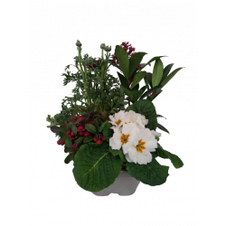 Composition extérieure 23...