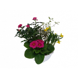 Composition extérieure 23...