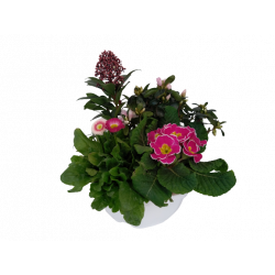 Composition extérieure 23...