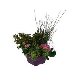 Composition extérieure 25...