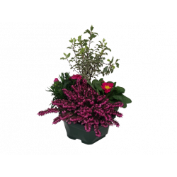 Composition extérieure 23...