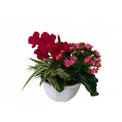 Composition extérieure 18...