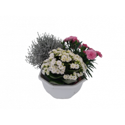 Composition extérieure 21...