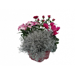 Composition extérieure 23...