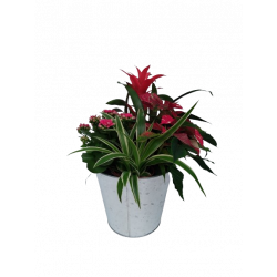 Composition intérieure...