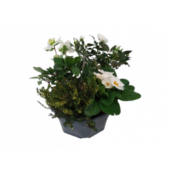 Composition extérieure 23...