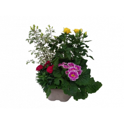 Composition extérieure 23...