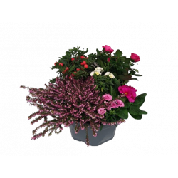 Composition extérieure 30...