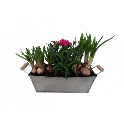 Composition extérieure...