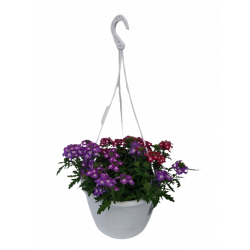 Verveine suspension Ø 27 cm