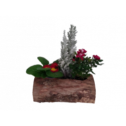 Composition extérieure...