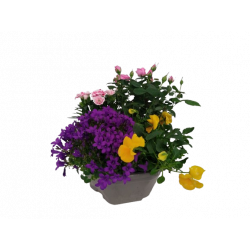 Composition extérieure 23...