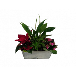 Composition intérieure...