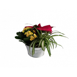 Composition intérieure...