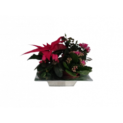 Composition intérieure...