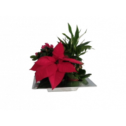 Composition intérieure...