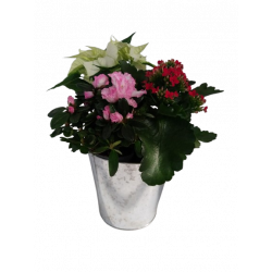 Composition intérieure...