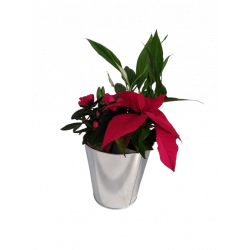 Composition intérieure...