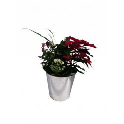 Composition intérieure...