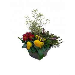 Composition extérieure 23...