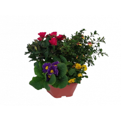 Composition extérieure 23...