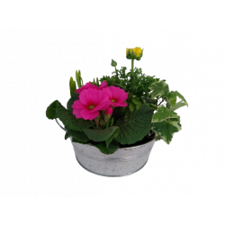 Composition extérieure...