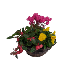 Composition extérieur...