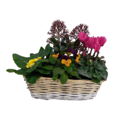 Composition extérieure...